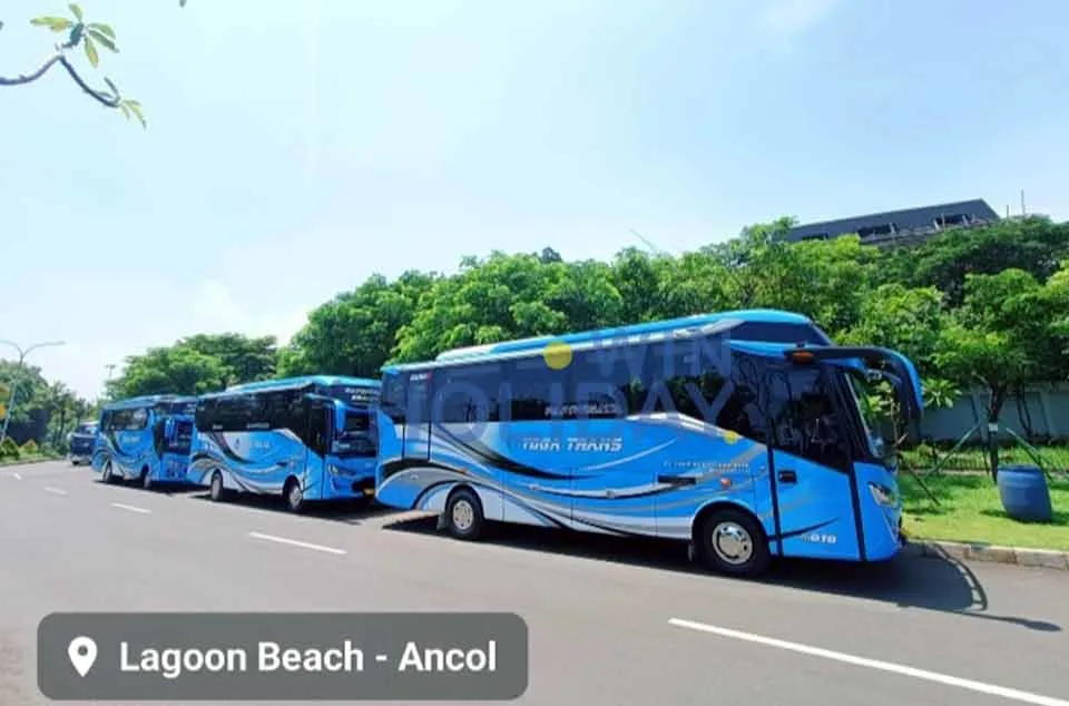 bus00081