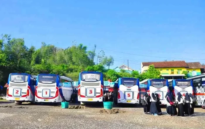 cara nego harga sewa bus pariwisata rombongan