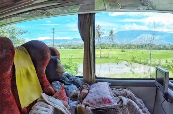 ciri bus pariwisata higienis untuk keluarga
