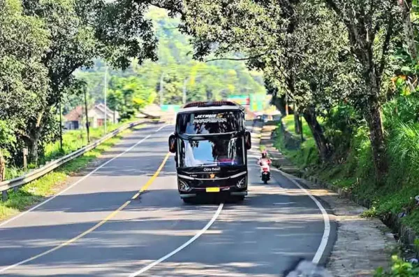 efisiensi biaya liburan keluarga besar naik bus charter
