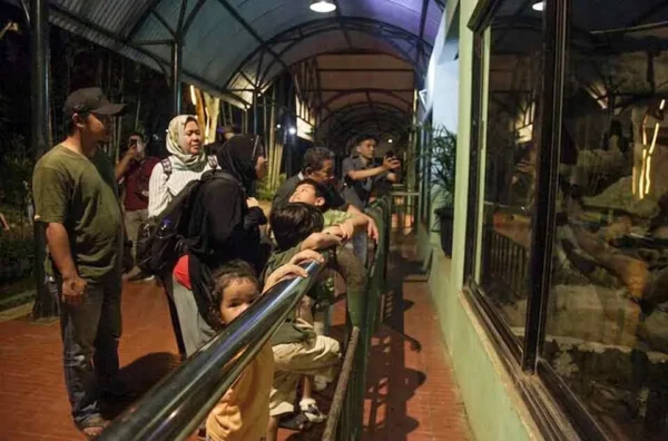 jadwal event terbaru dan atraksi di Taman Margasatwa Ragunan