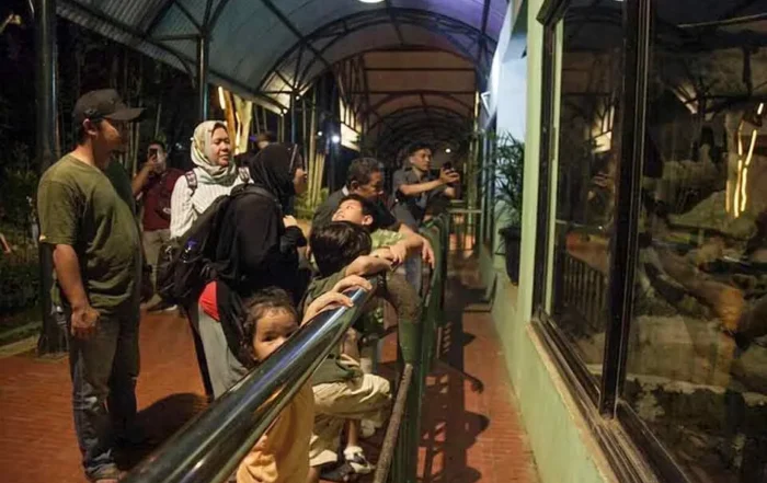 jadwal event terbaru dan atraksi di Taman Margasatwa Ragunan
