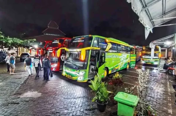 karakteristik dan izin operasional bus pariwisata