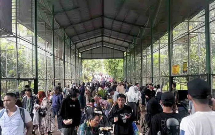 ketersediaan wahana Ragunan di hari biasa dan akhir pekan