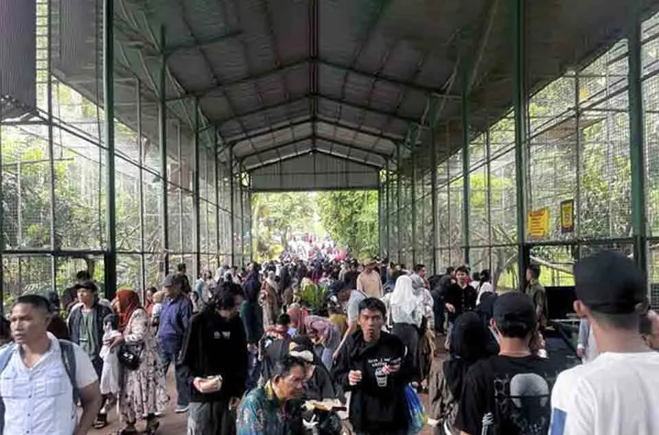 ketersediaan wahana Ragunan di hari biasa dan akhir pekan