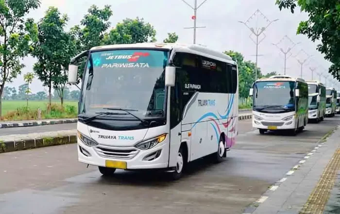 keunggulan bus sedang untuk jalan sempit dan pegunungan