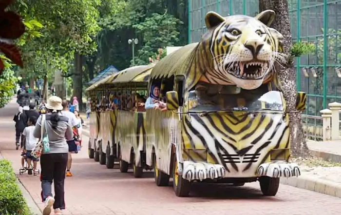panduan kenyamanan piknik rombongan di Ragunan