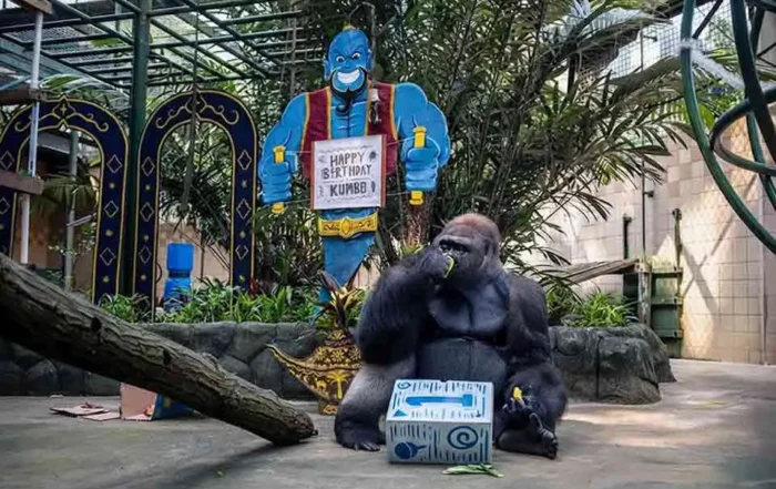peran Taman Margasatwa Ragunan dalam konservasi ex-situ