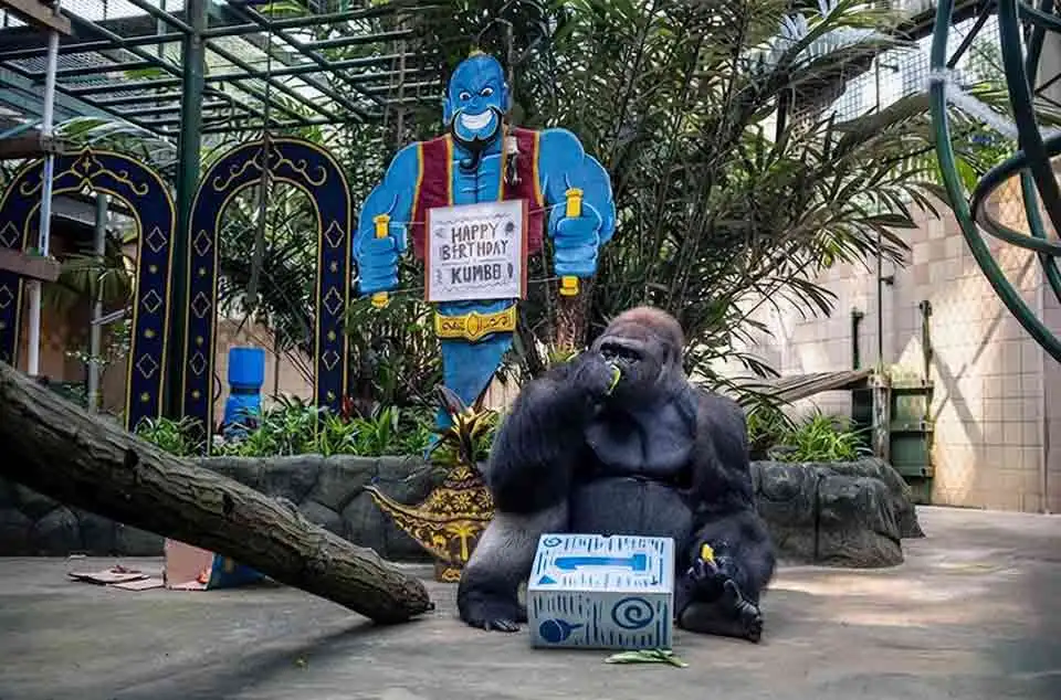 peran Taman Margasatwa Ragunan dalam konservasi ex-situ