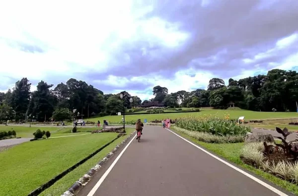 perbandingan Monas dan Kebun Raya Bogor untuk piknik keluarga