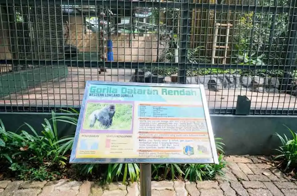 tips liburan hemat ke Ragunan untuk rombongan