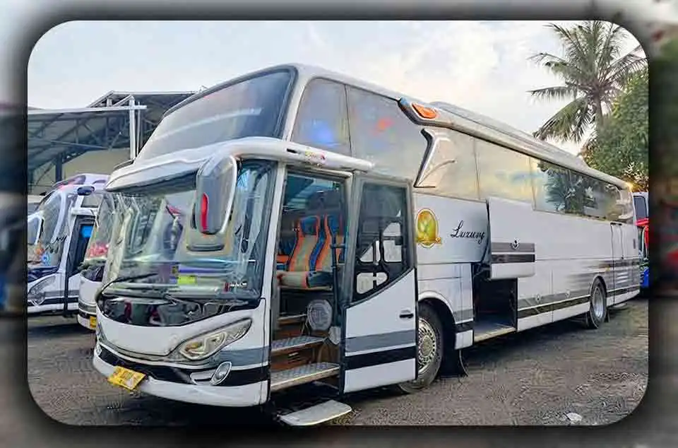 Perbedaan Bus Pariwisata Premium dan Standar