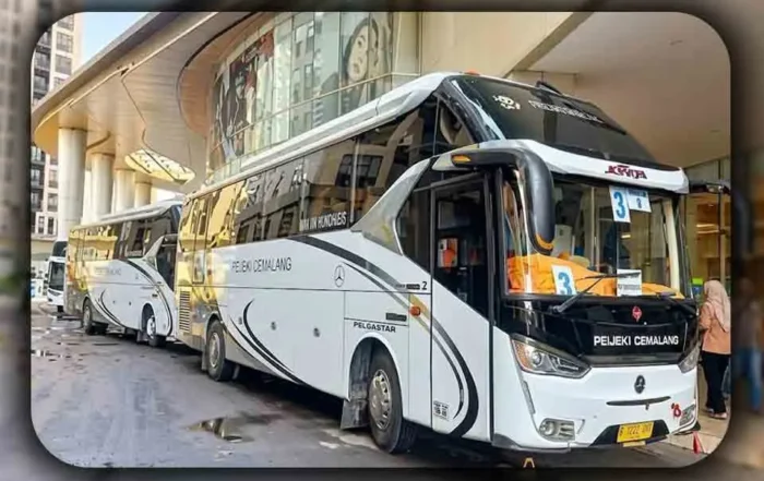 Solusi Jika Bus Pariwisata Mengalami Kendala di Perjalanan