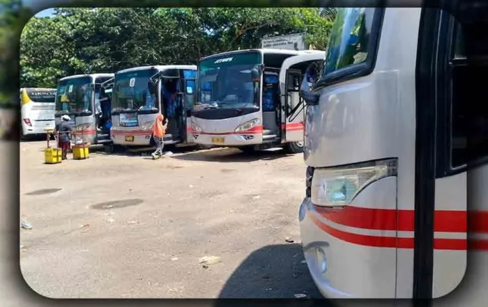 Tips Memilih Bus Pariwisata untuk Perjalanan Jauh