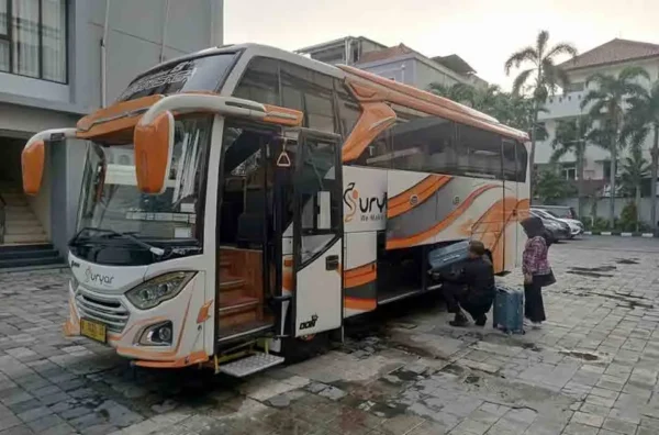 sewa bus pariwisata untuk rombongan pengantin