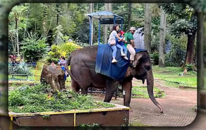 Panduan Trip Rombongan ke Ragunan Jakarta