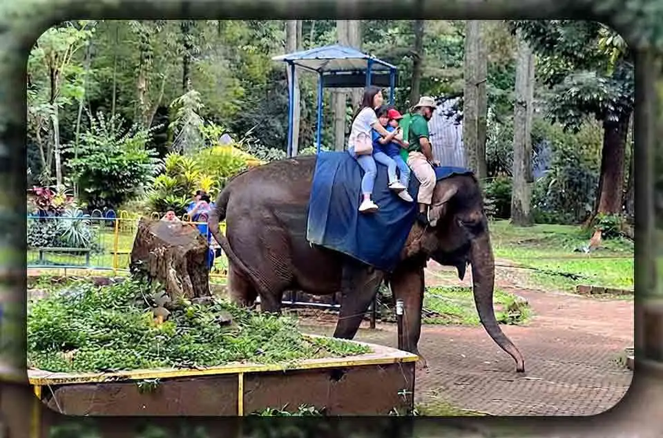 Panduan Trip Rombongan ke Ragunan Jakarta